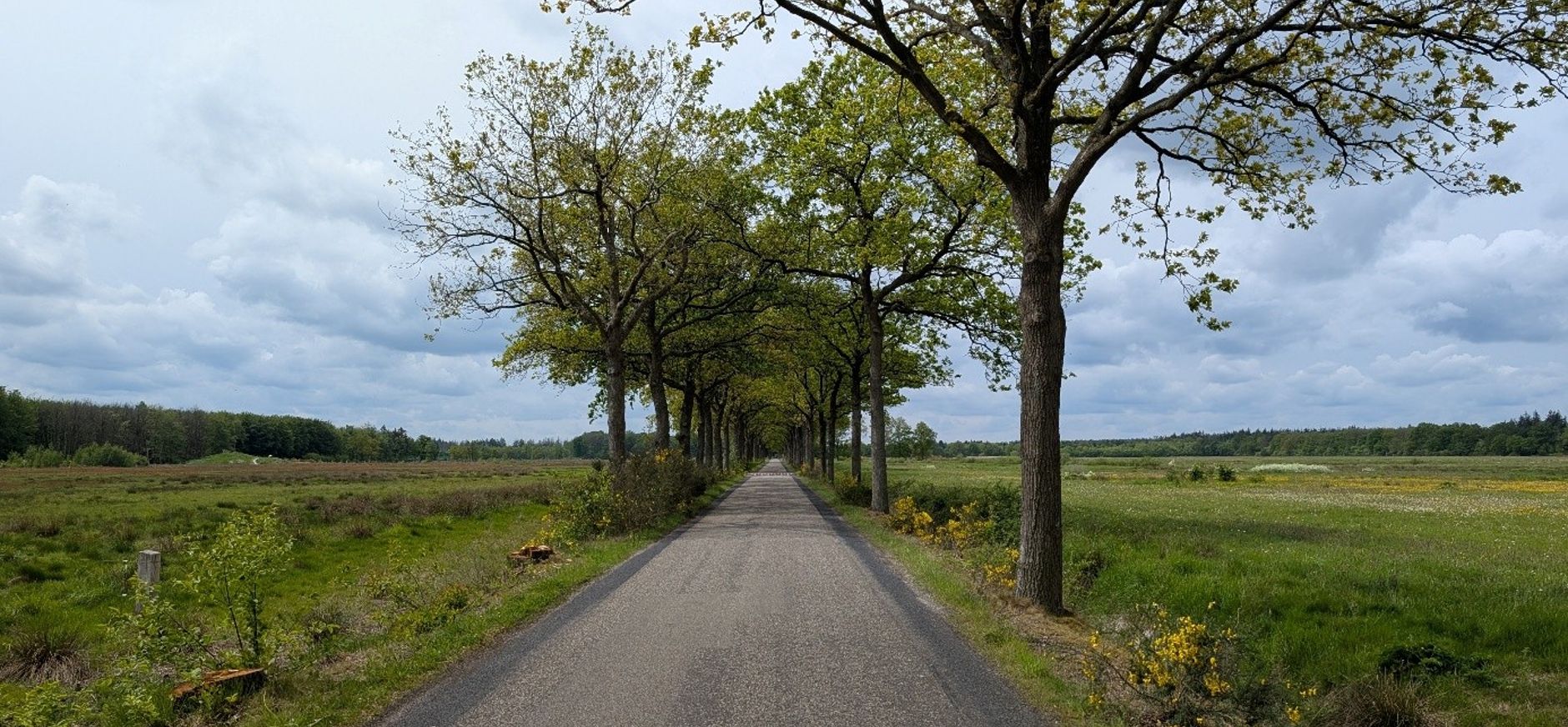 Oude Willemsweg 