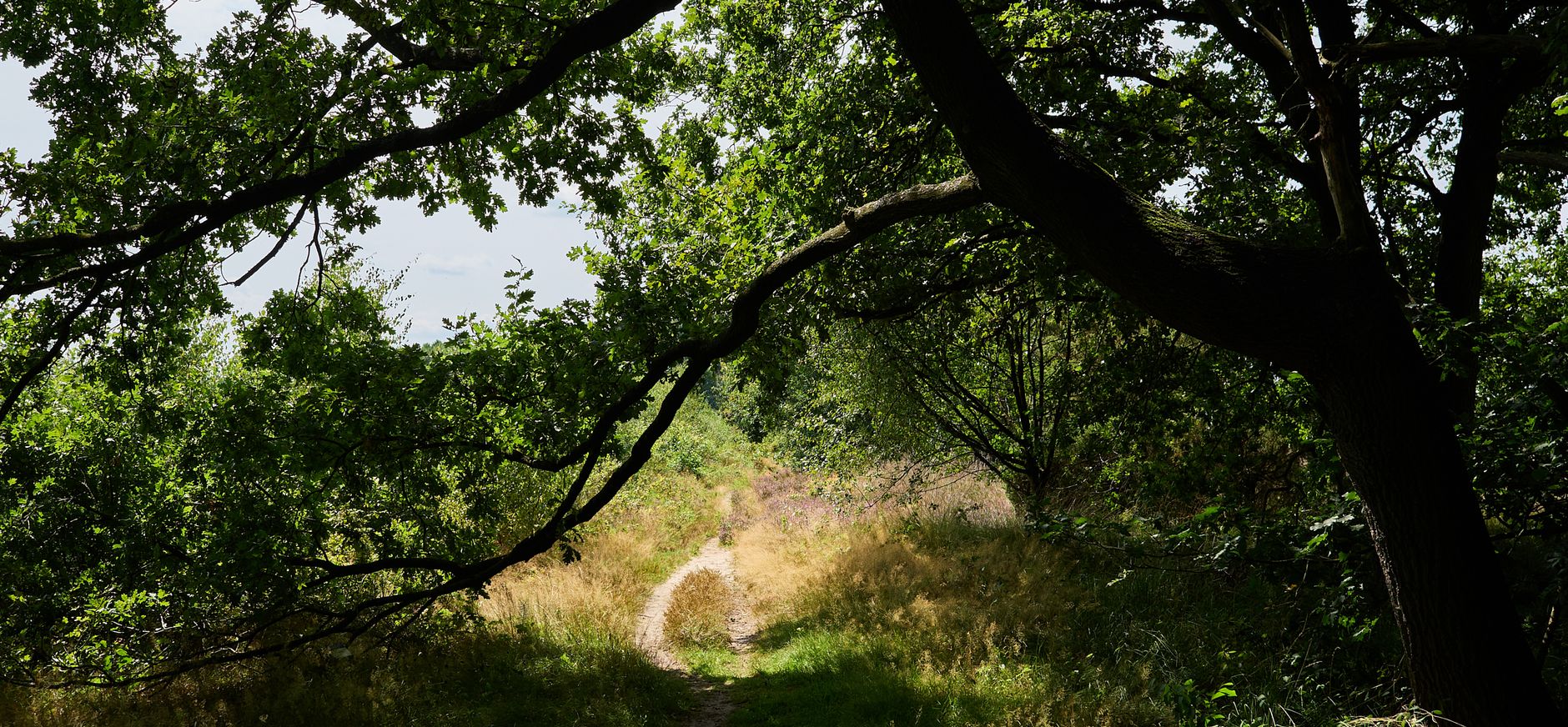 Buurserzand Buurserzand