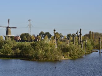 Molenplas in herfstkleuren
