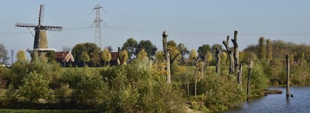 Molenplas in herfstkleuren