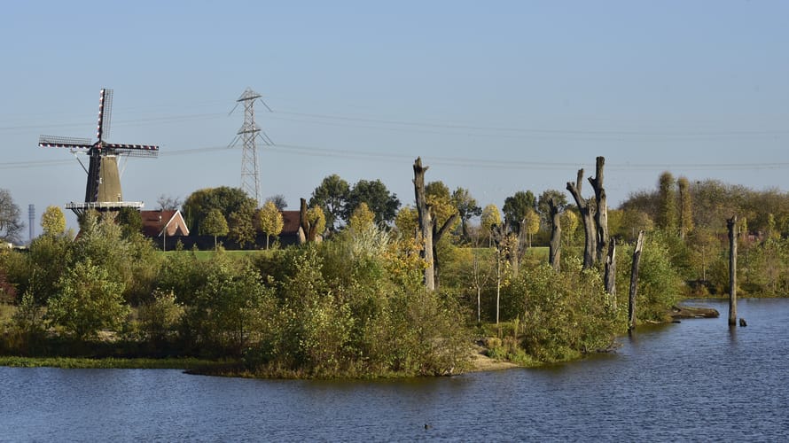 Molenplas in herfstkleuren