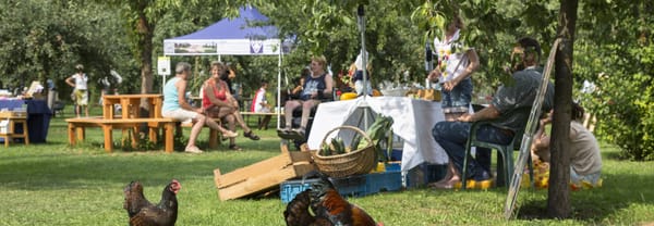 Zorgboerderij de Groote Modderkolk