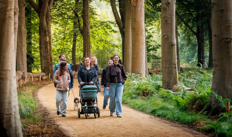 Wandeling Wielewaal