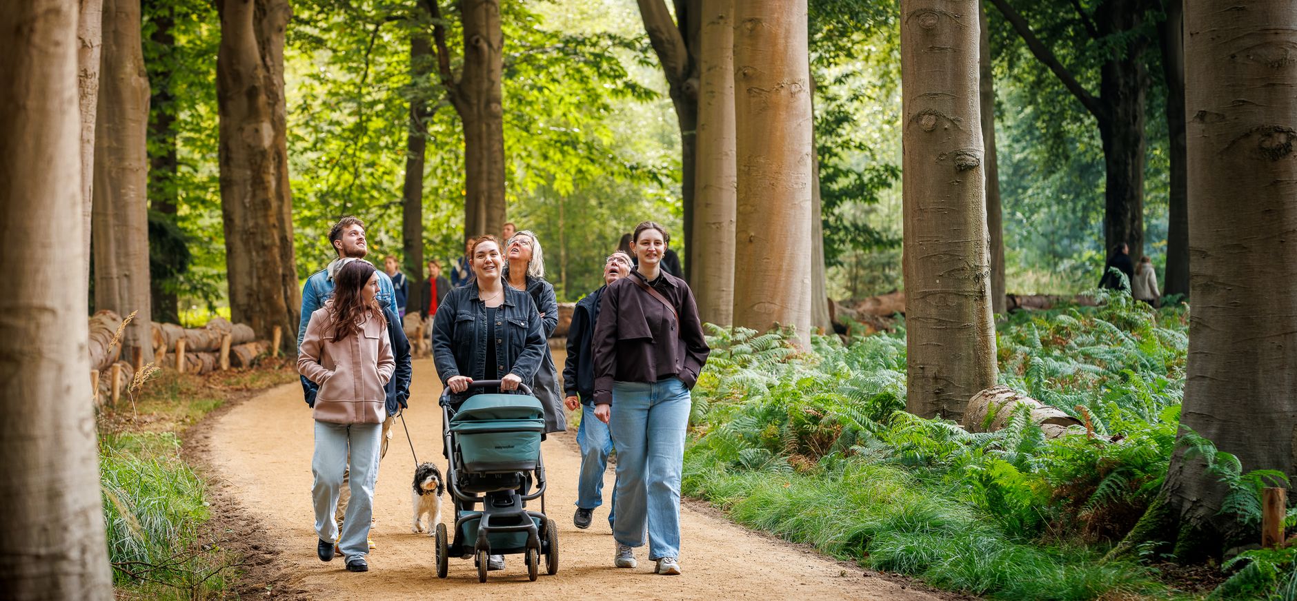 Wandeling Wielewaal