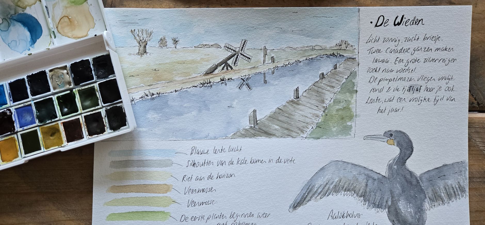 natuurtekenen