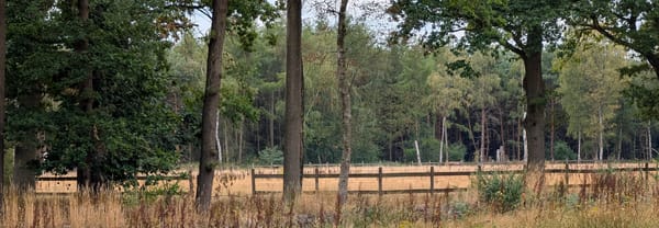 Paardenweide