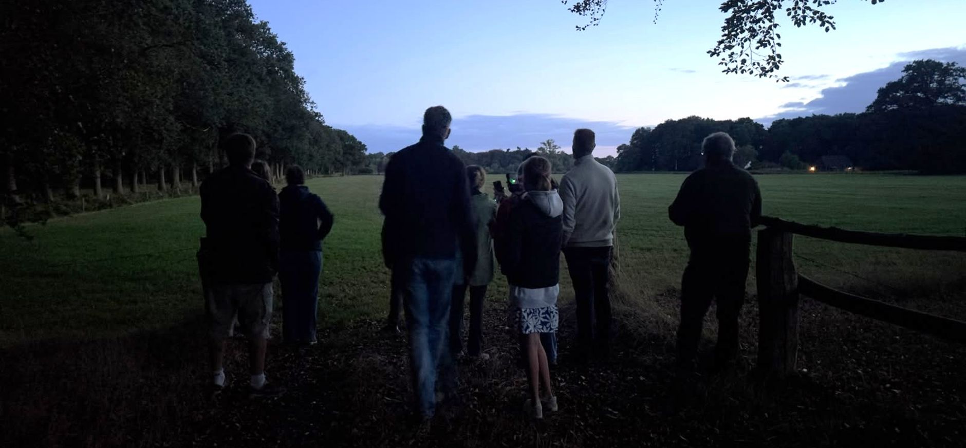 Vleermuiswandeling Vleermuiswandeling