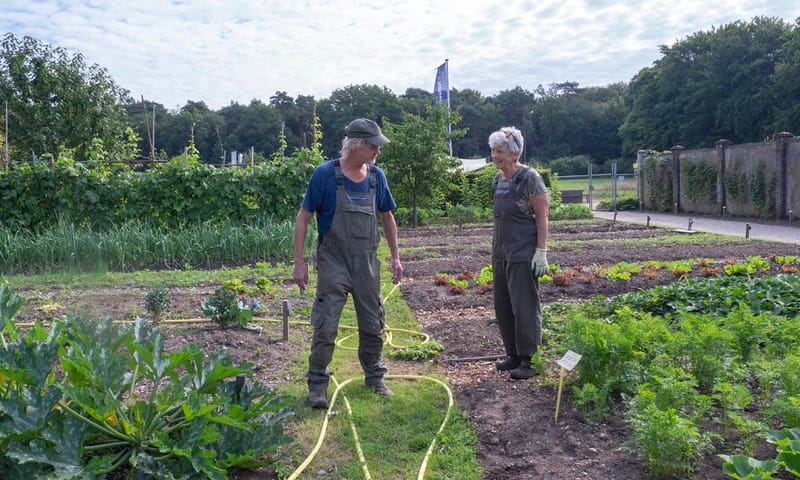 Tuinbaas Landgoed Mookerheide Tuinbaas Landgoed Mookerheide
