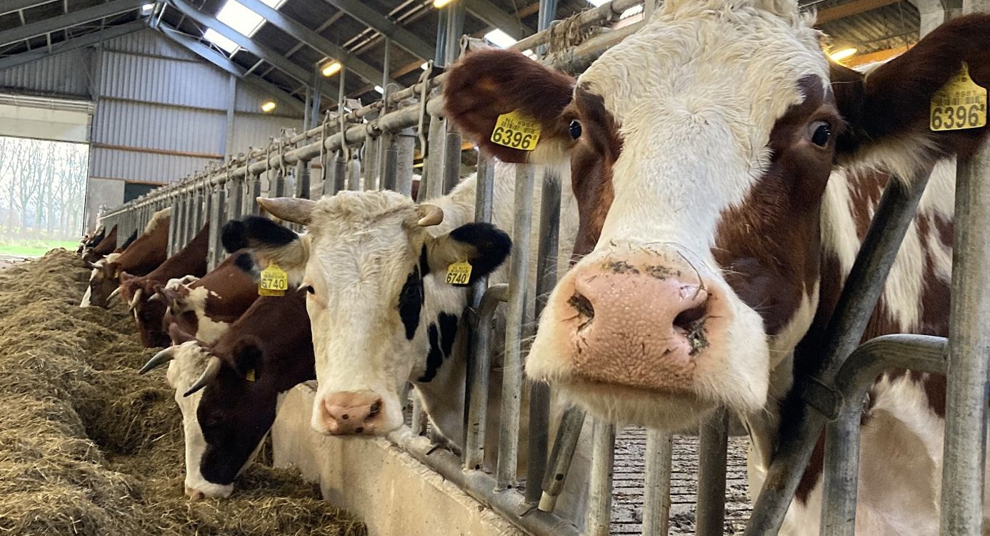 Op deze boerderij werken we aan een plek vol leven, waar natuur en landbouw samenwerken Vrijwilligers werk bij Natuurmonumenten is werken op een fantastische plek met leuke collega's!