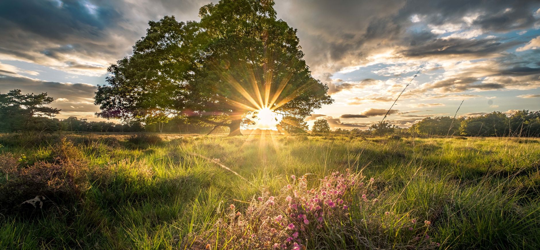 Buurserzand Twente