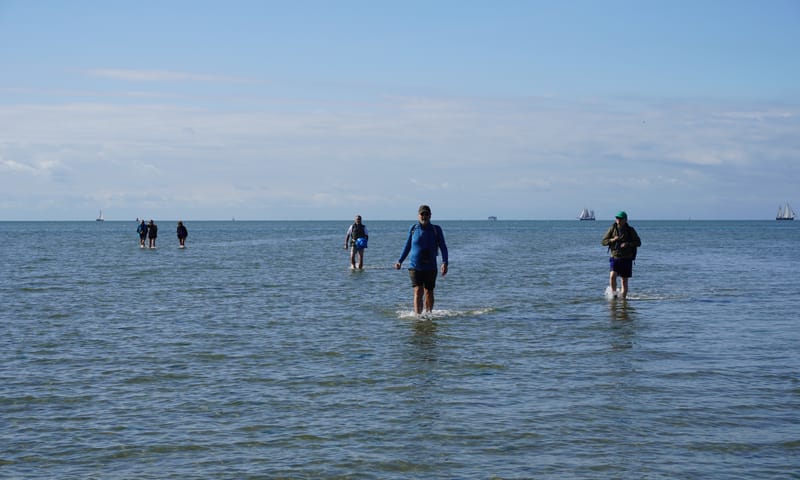 een groep mensen loopt door ondiep water in de Waddenzee