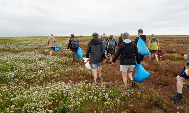 Een groep mensen loopt met vuilniszakken over Griend