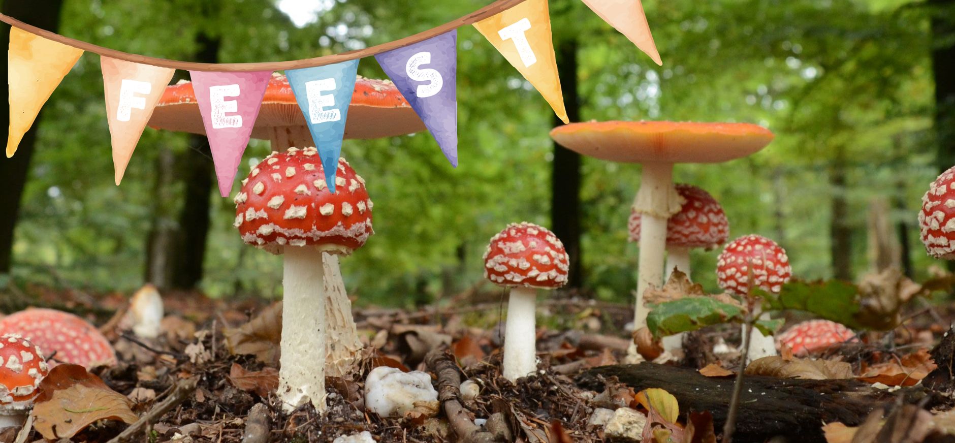 Vliegenzwammen met feestslinger