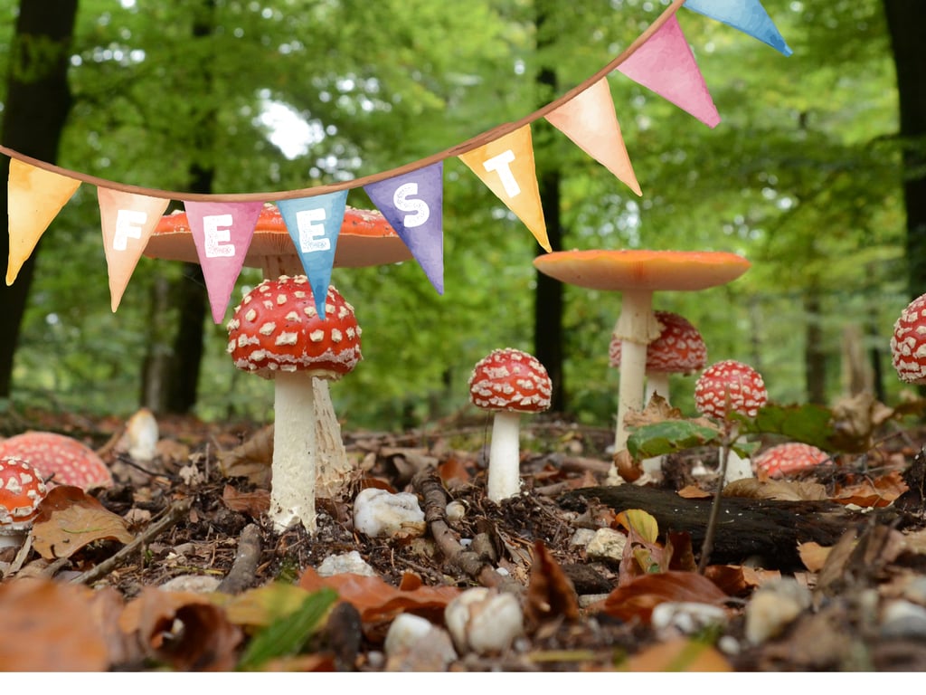 Zondag 11 oktober: jubileumfeest natuurgebied Huis ter Heide 