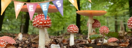 Vliegenzwammen met feestslinger