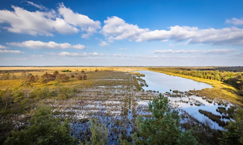 Fochteloerveen Fochteloerveen