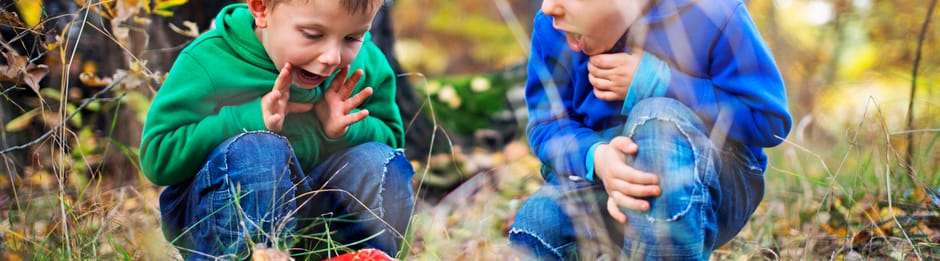 Kinderen vinden een vliegenzwam in het bos