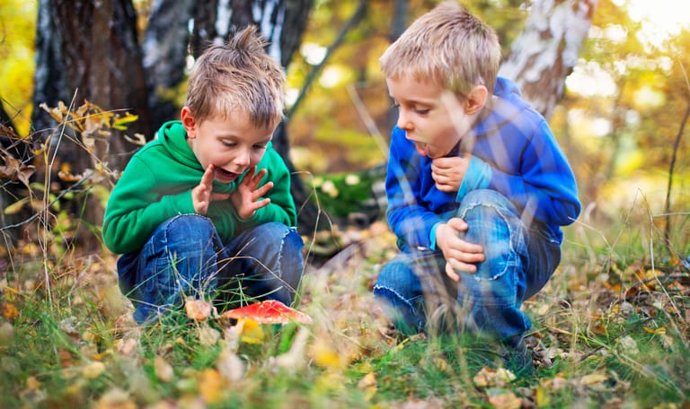 Kinderen vinden een vliegenzwam in het bos
