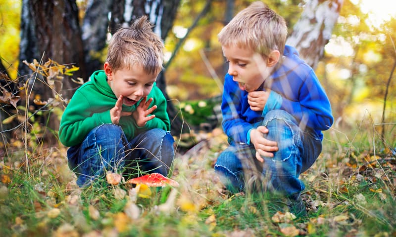 Kinderen vinden een vliegenzwam in het bos