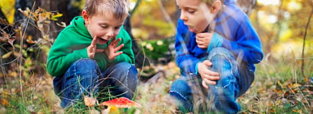 Kinderen vinden een vliegenzwam in het bos