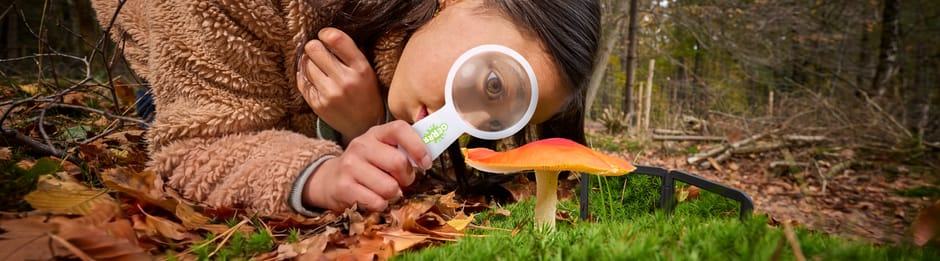 Kind kijkt met een vergrootglas naar een vliegenzwam