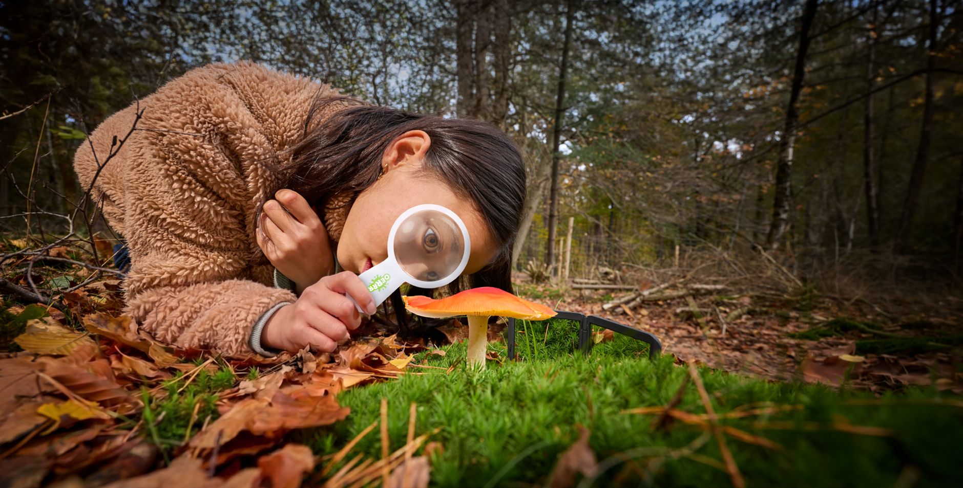 Kind kijkt met vergrootglas naar vliegenzwam
