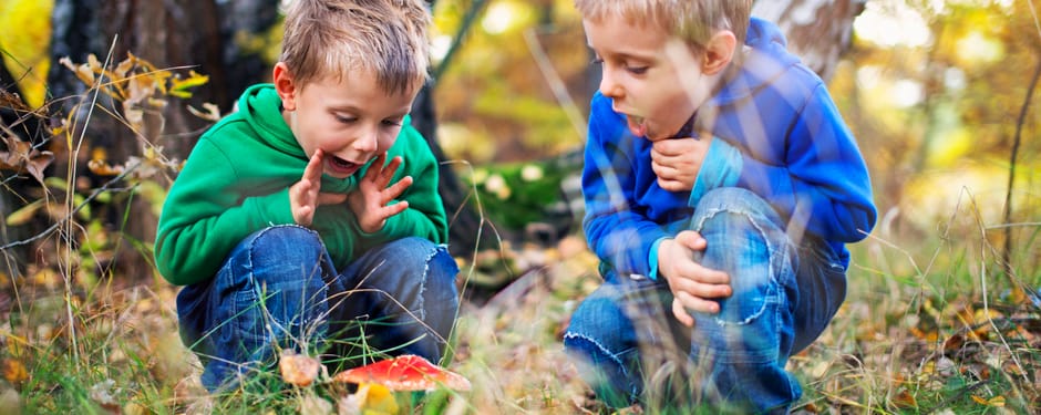 Kinderen bekijken een paddenstoel