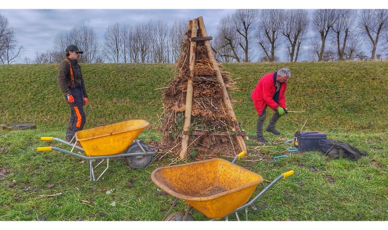 Beheerploeg op de forten in actie Beheerploeg op de forten maakt bijenruiter op Fort Nieuwersluis