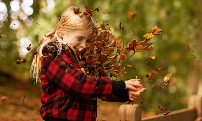 Kind gooit herfstbladeren in de lucht
