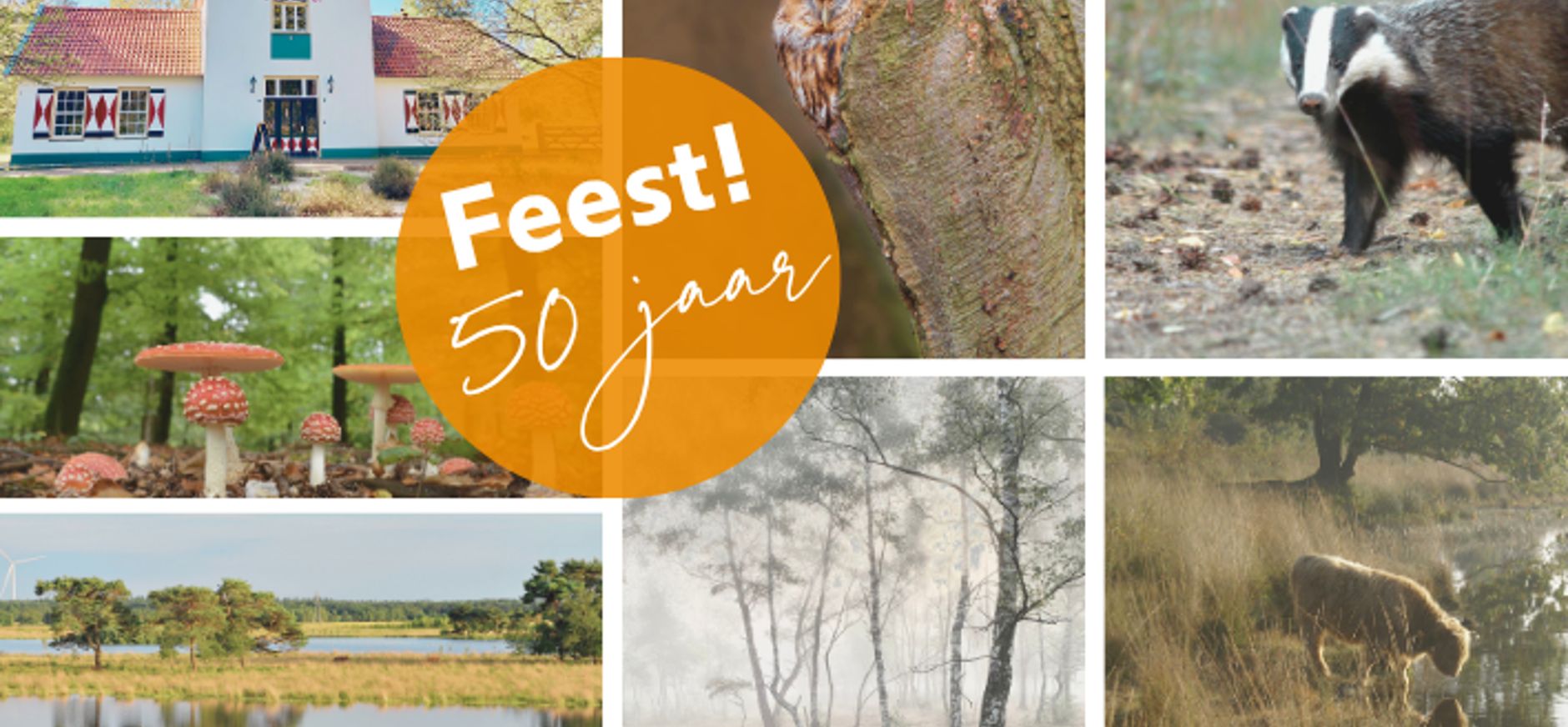 collage Huis ter Heide herfst
