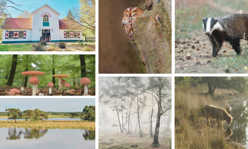 Collage Huis ter Heide