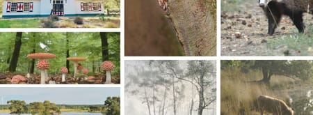 Collage Huis ter Heide