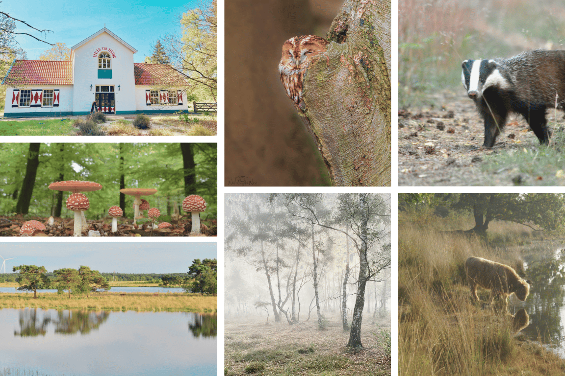 Lezing 50 jaar natuurbeheer Huis ter Heide