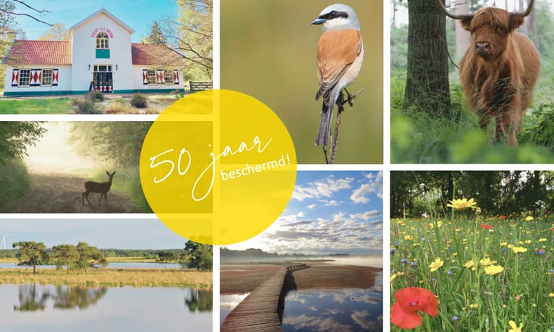 Huis ter Heide collage