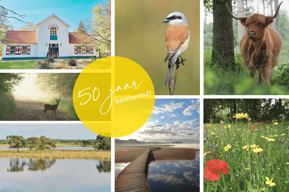 Excursie 50 jaar natuurbeheer op Huis ter Heide