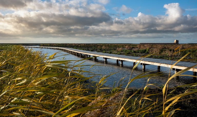 Marker Wadden
