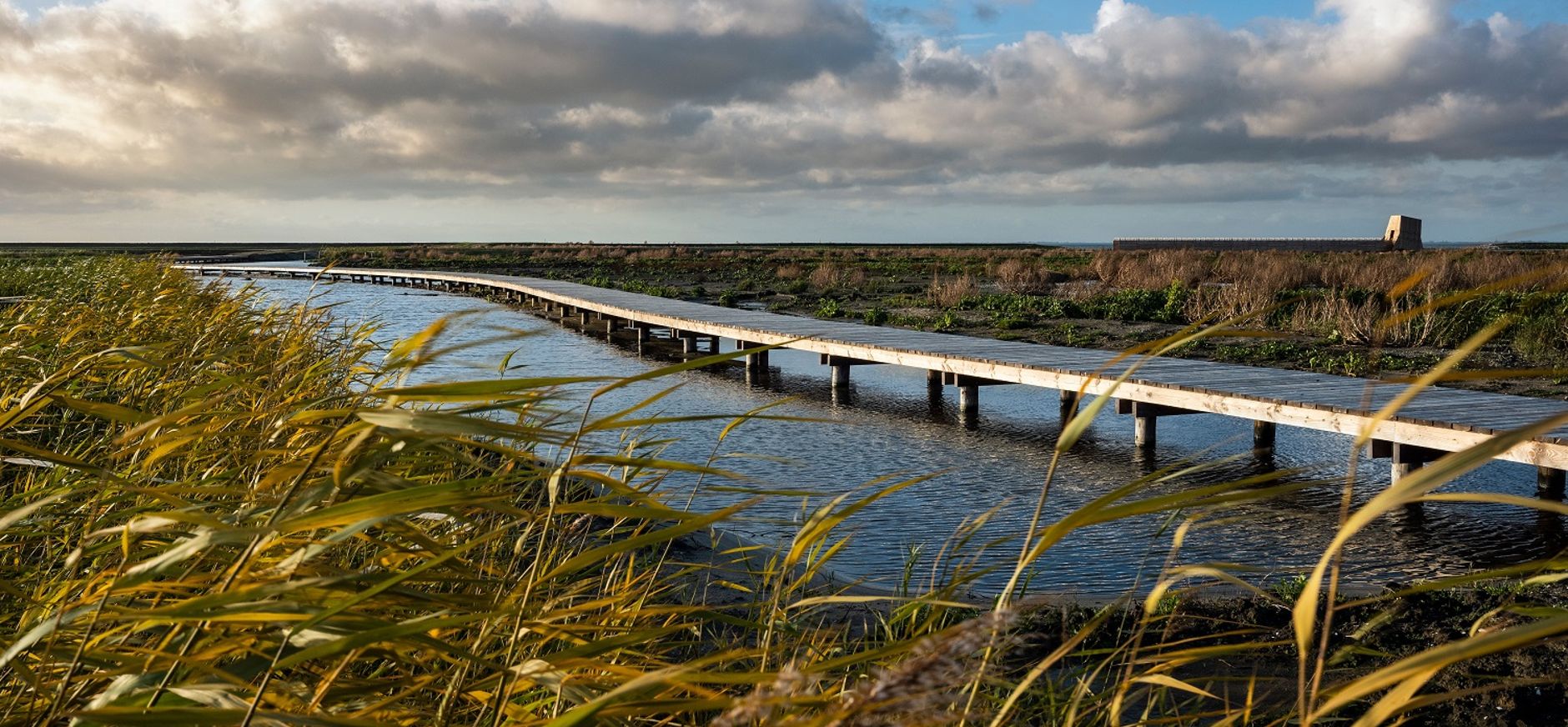 Marker Wadden
