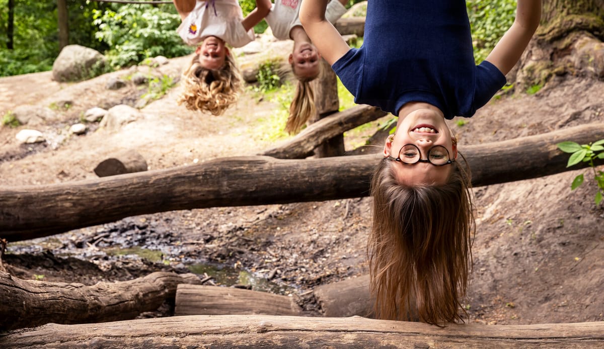 Kinderen spelen en klimmen in de natuur