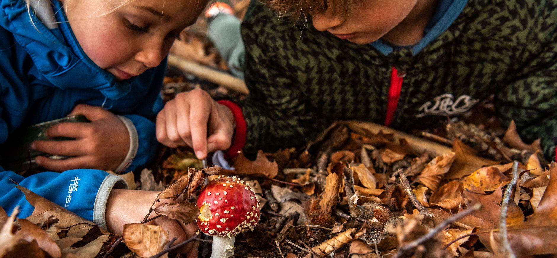 Herfst speurtocht paddenstoelen zoeken