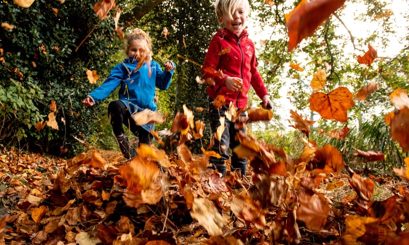 Kinderen spelen in de herfst