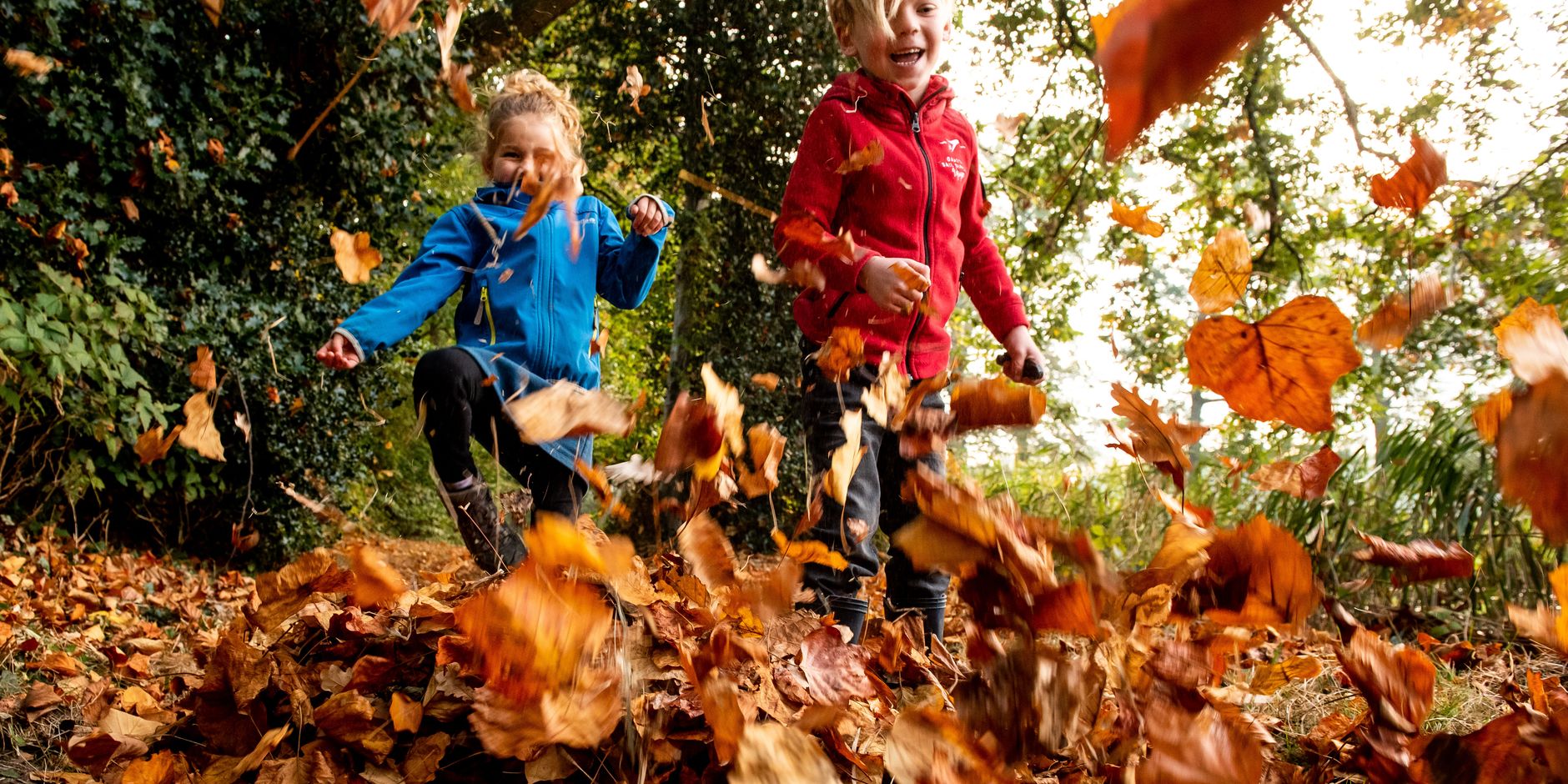 Kinderen spelen in de herfst