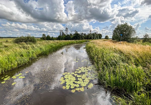 Eelderdiep