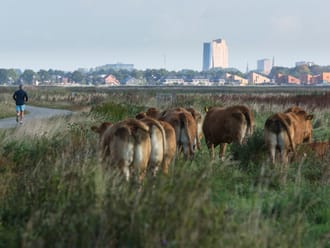 Hardlopen De Onlanden