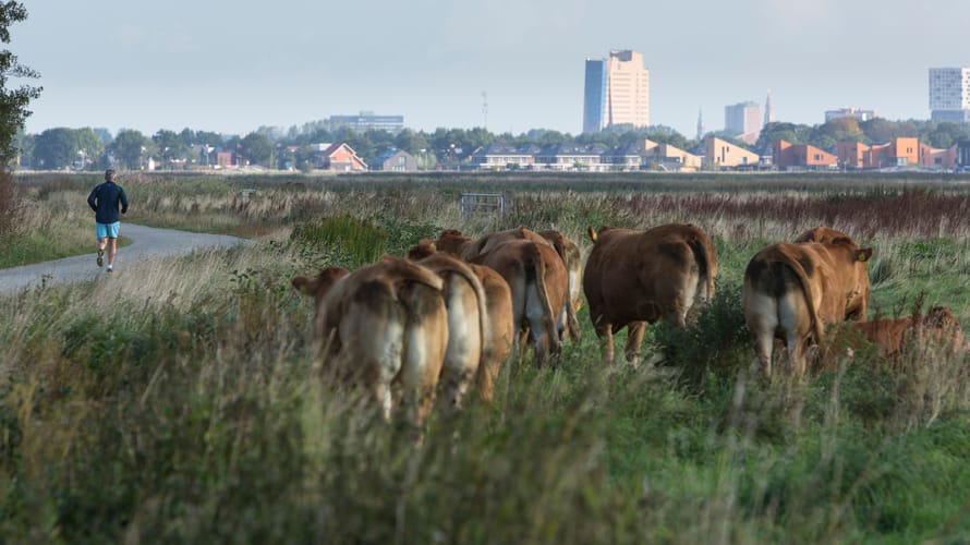 Hardlopen De Onlanden