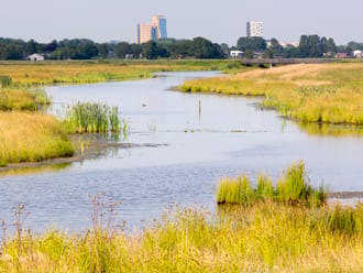 De Onlanden, skyline Groningen