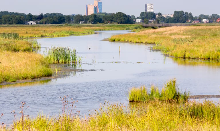 De Onlanden, skyline Groningen