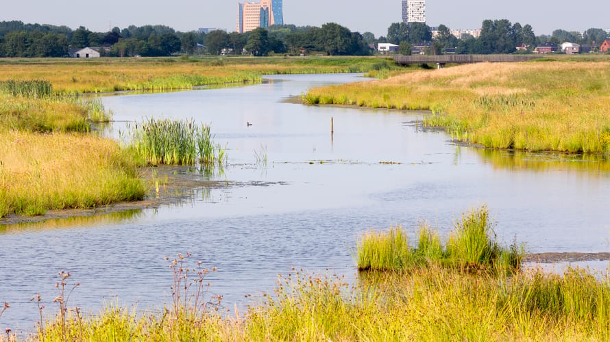 De Onlanden, skyline Groningen