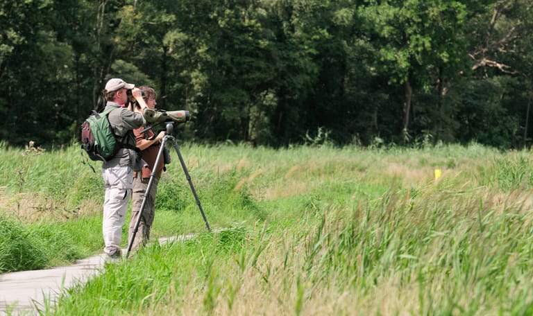 Broedvogel monitoring Broedvogel monitoring