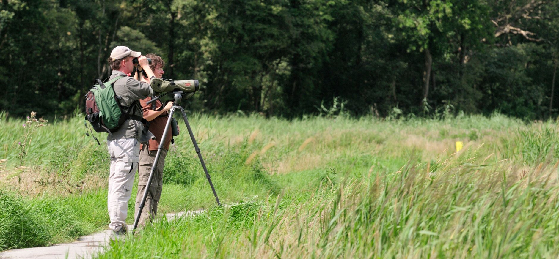 Broedvogel monitoring Broedvogel monitoring