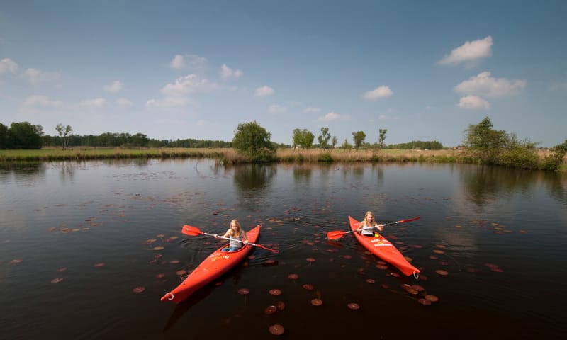 Natuur ervaren vanuit de kano. Nieuwkoopse Plassen